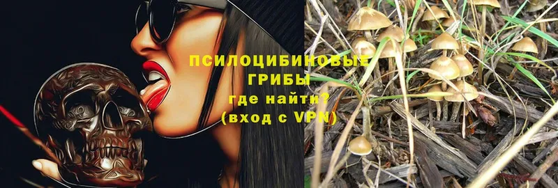 Псилоцибиновые грибы Magic Shrooms  omg зеркало  Краснообск  где можно купить наркотик 